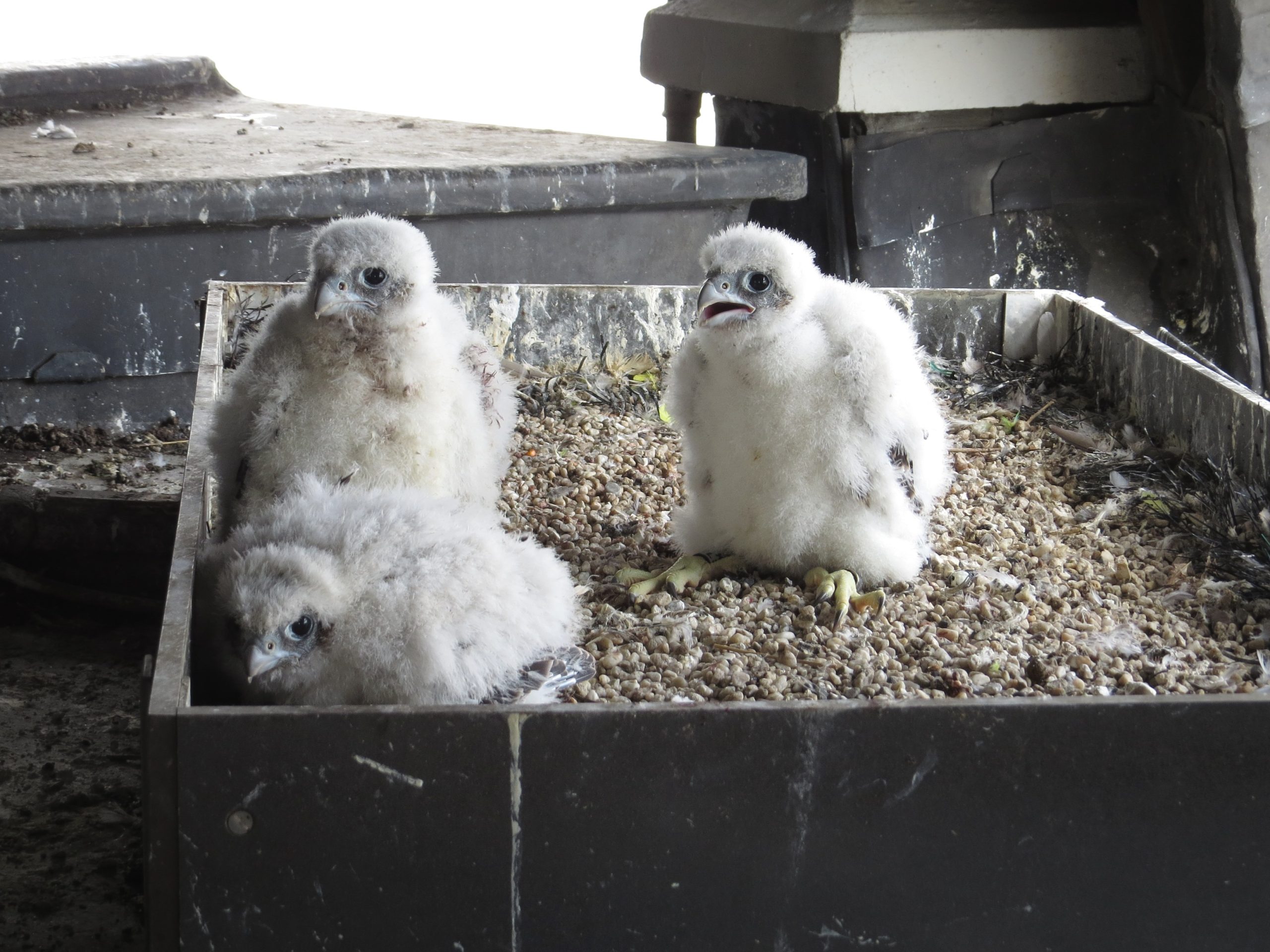 Stevens Skystories - IMG_5436_groot-scaled